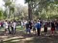 0309-1533 Beer festival (3097989)